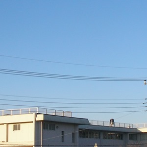 2015-01-31_07：23 空模様　宇都宮